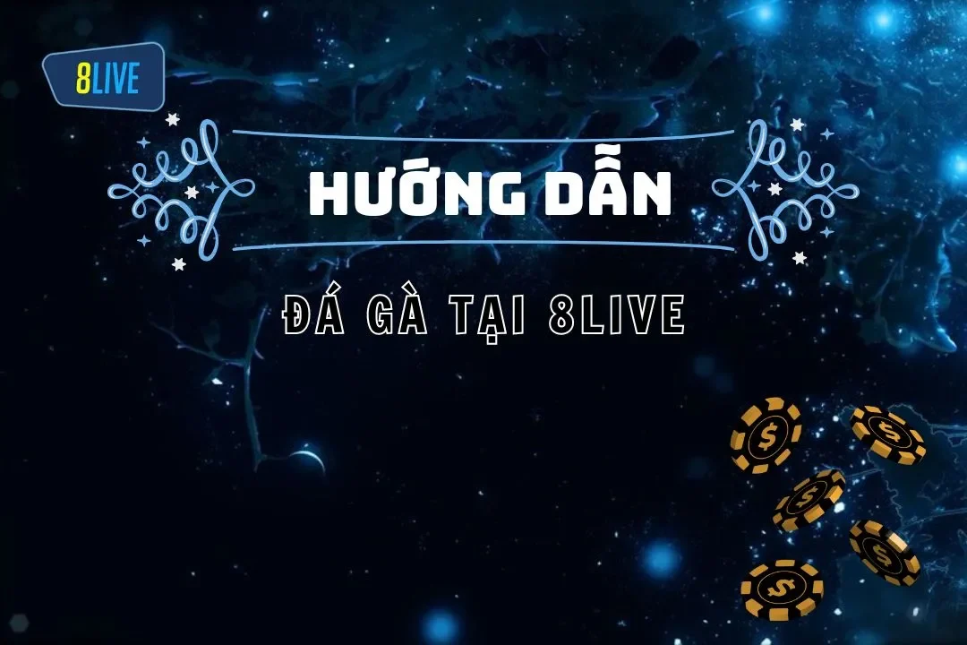 Đá Gà 8Live