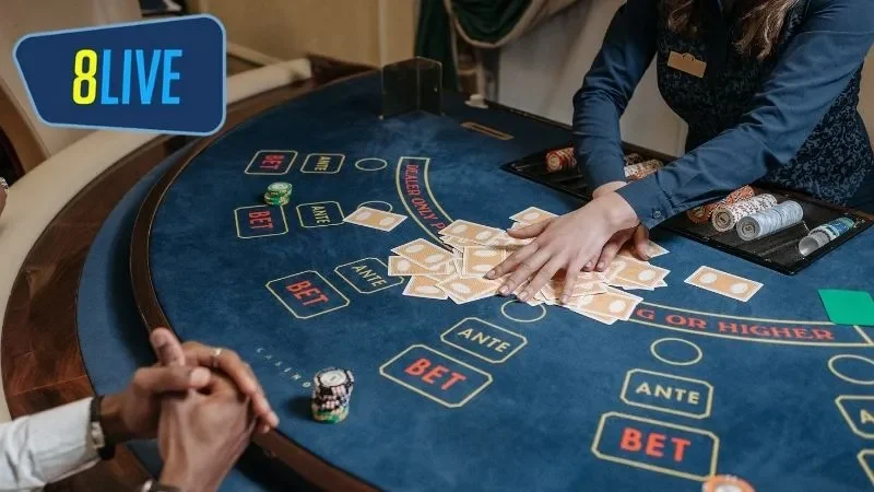 Khi mới tập chơi, bạn nên đặt cược vào nhà cái